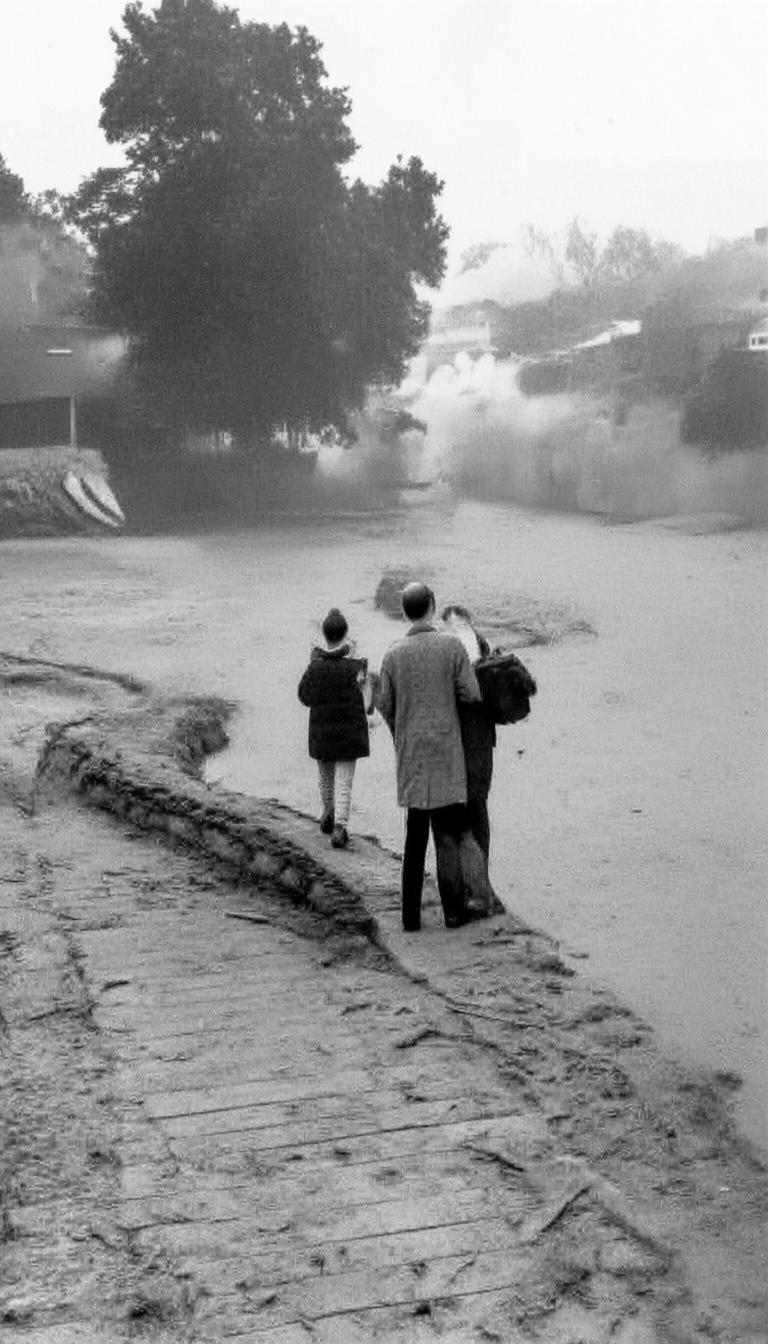 抖音涨粉十大美女排行榜_抖音美女涨粉排行揭秘？插图